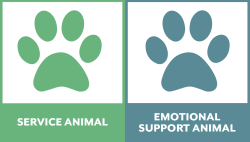Green paw print for service animal next to a blue paw representing emotional support animal