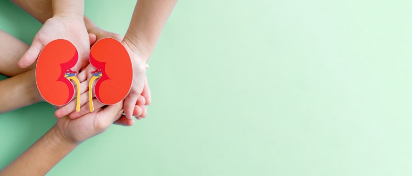 Chronic Kidney Disease Support Group- It Takes a Village (Kidney Disease)